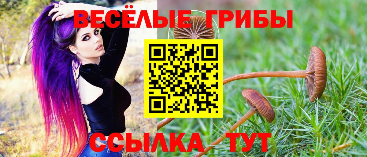 Галлюциногенные грибы Magic Shrooms Боровичи